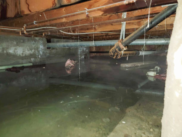  Eau Claire, WI Water damage restoration Pros