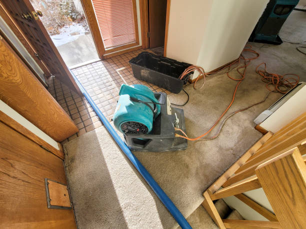 Best Professional water damage repair  in Eau Claire, WI