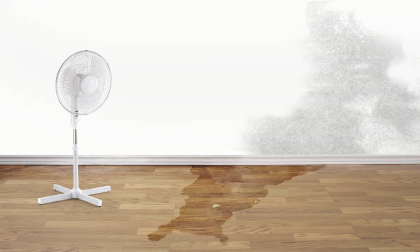 Best Water damage repair service  in Eau Claire, WI