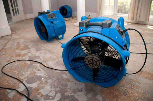 Best Water damage contractors near me  in Eau Claire, WI