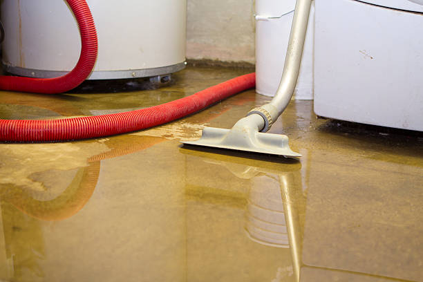 Best 24-hour water damage restoration  in Eau Claire, WI