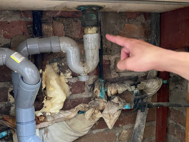Best Flood restoration services  in Eau Claire, WI